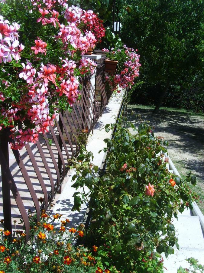 Bed and Breakfast Casa Lieta Subiaco Zewnętrze zdjęcie